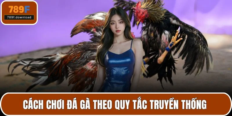 Cách chơi đá gà theo quy tắc truyền thống