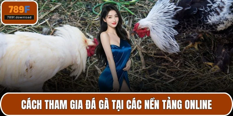 Cách tham gia đá gà tại các nền tảng online