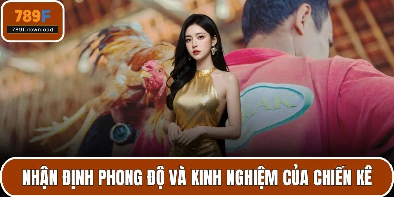 Nhận định phong độ và kinh nghiệm của chiến kê