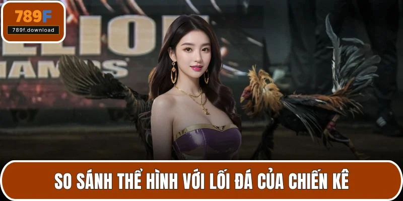 So sánh thể hình với lối đá của chiến kê