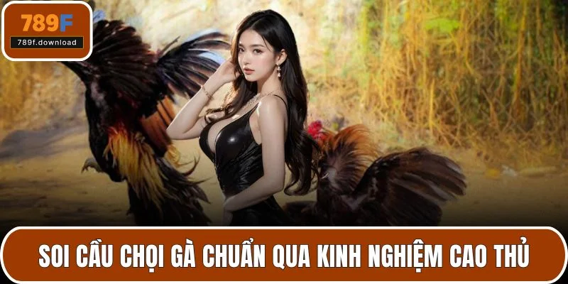 Soi cầu chọi gà chuẩn qua kinh nghiệm cao thủ