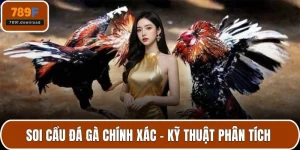 soi cầu đá gà